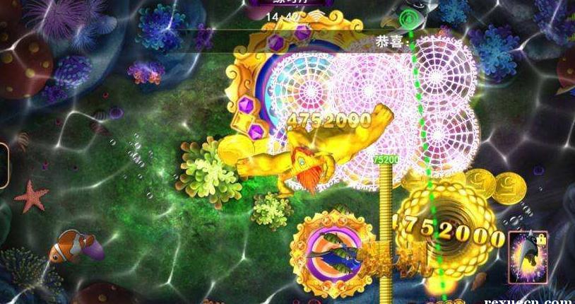 4.星力钓鱼9代代理违法吗?